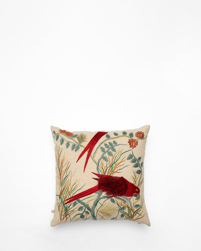 Cushion in Amazonia