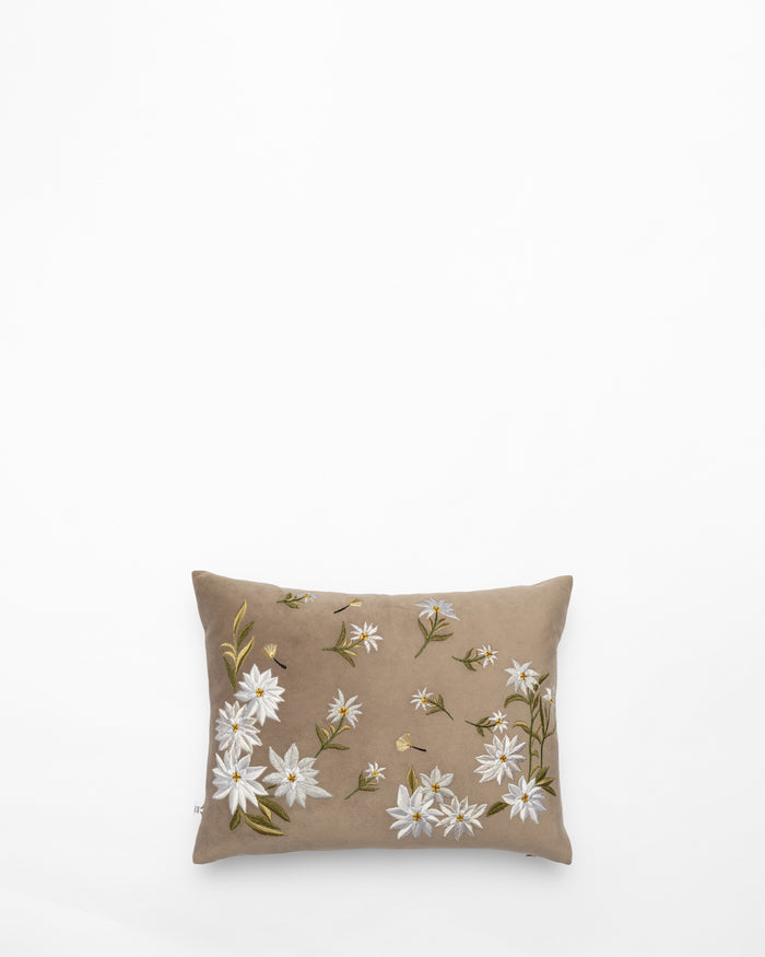 Bloom and Grow embroidered cushion, front view
