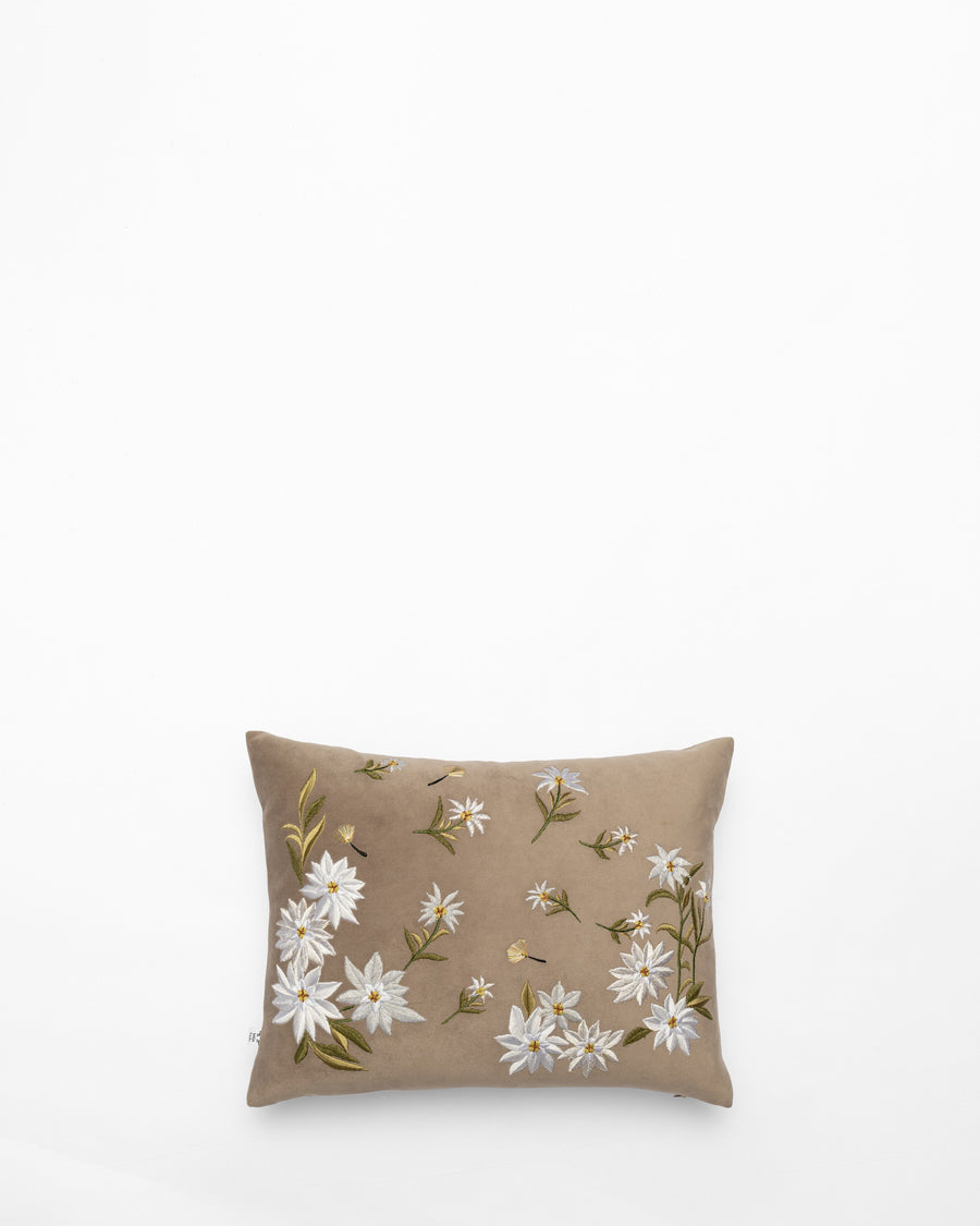 Bloom and Grow embroidered cushion, front view