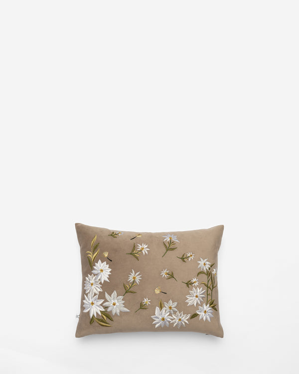 Bloom and Grow embroidered cushion, front view