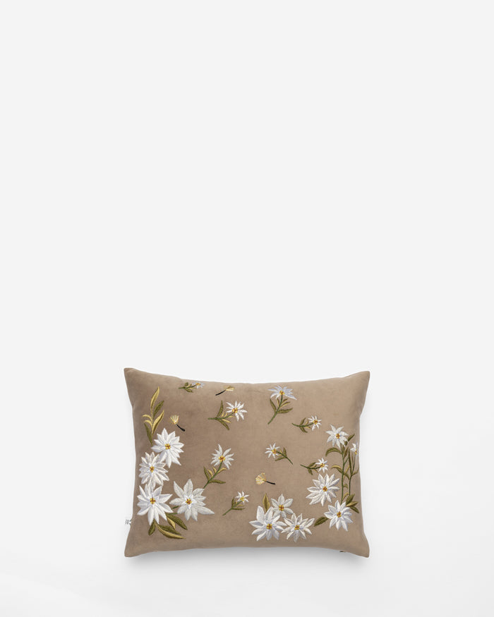 Bloom and Grow embroidered cushion, front view