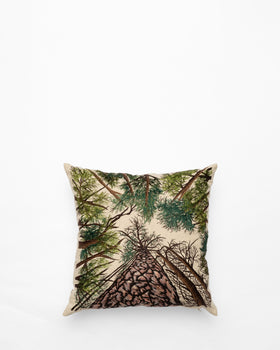 Cushion