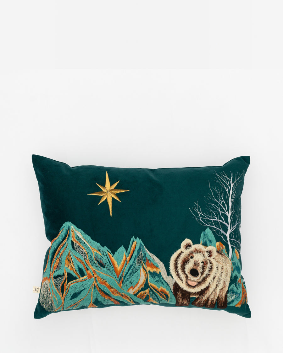Polaris embroidered cushion, front view