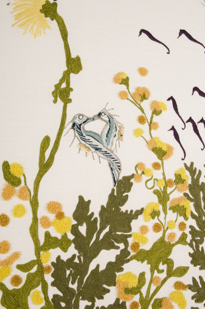 DSC 9881