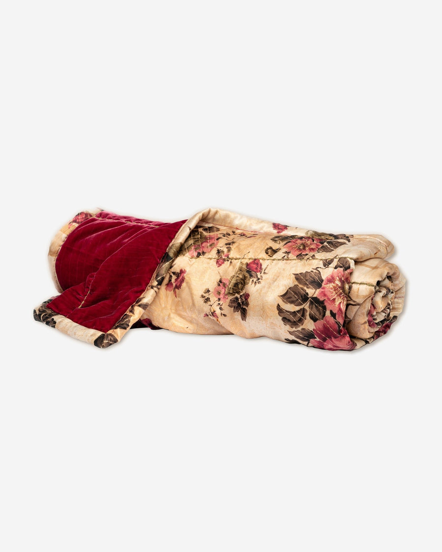 Cocoon in English Roses