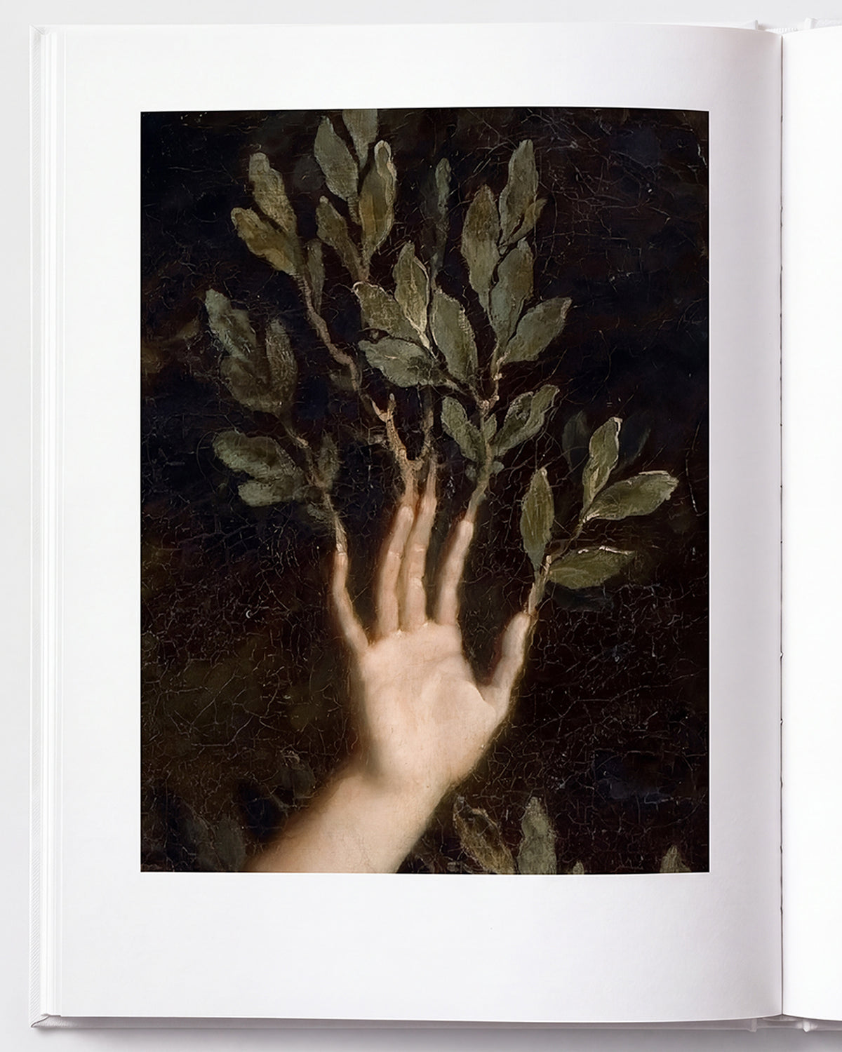 ff-editorial-watermelon-hand-1200.jpg