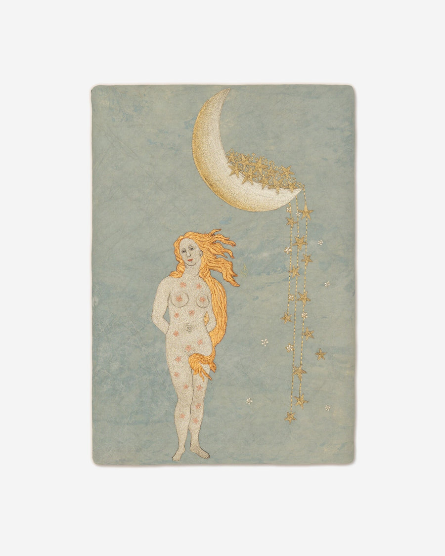 Tapestry in Venus