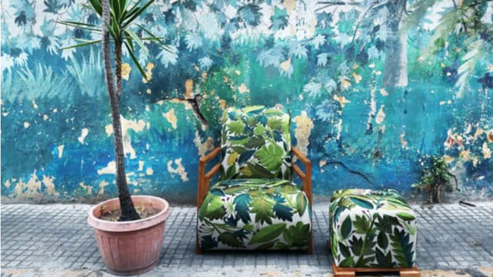 Indigare Verde Bokja