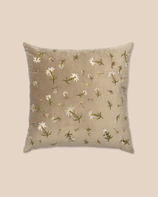 Blossom of Snow front