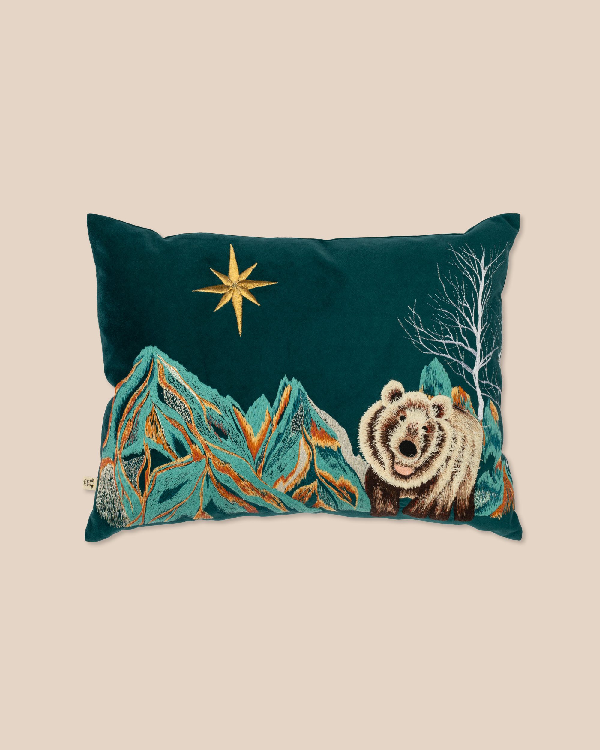 Polaris Embroidered Velvet Cushion
